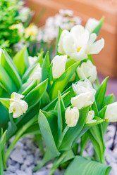 Similar image 21038675