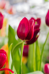 Similar image 21038676