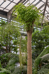 Similar image 21038678