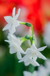 Similar image 21041158