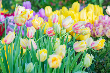 Similar image 21041161