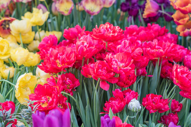 Similar image 21041164