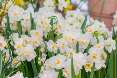 Similar image 21041166