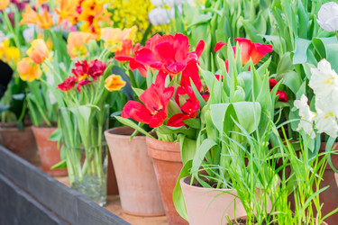 Similar image 21041168