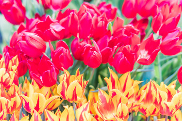 Similar image 21041169