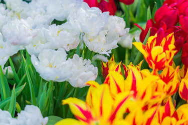 Similar image 21041171