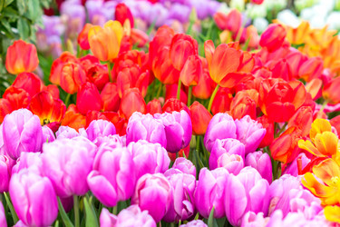 Similar image 21041172