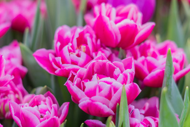 Similar image 21041175