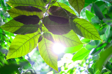 Similar image 21041178