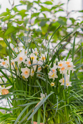 Similar image 21041179