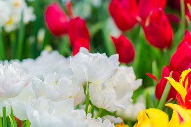 Similar image 21041180