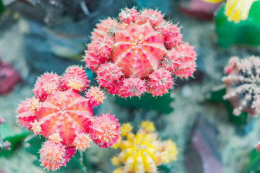 Similar image 21041324