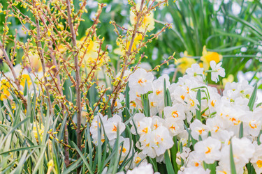 Similar image 21041325