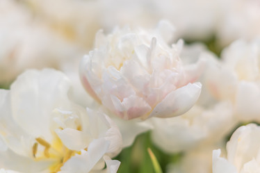 Similar image 21041327