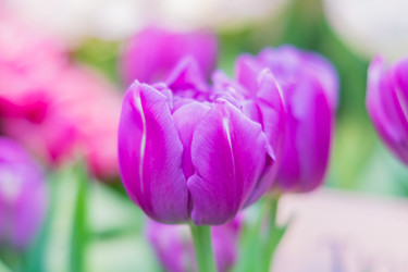 Similar image 21041328