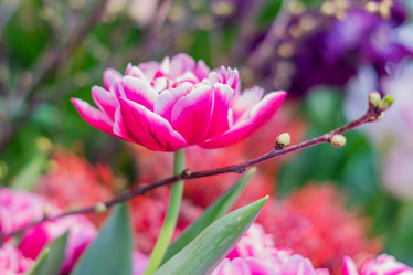 Similar image 21041330