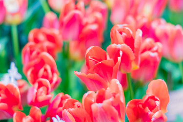 Similar image 21041332