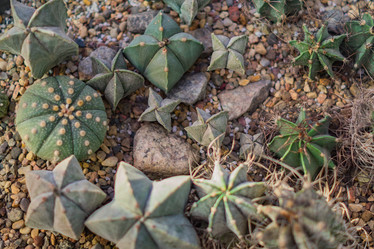 Similar image 21053509