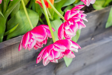 Similar image 21035577