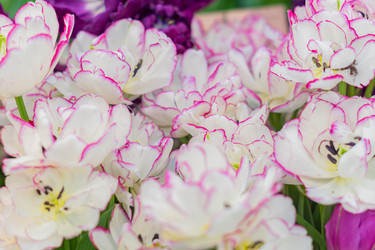 Similar image 21035578