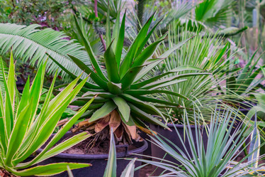 Similar image 21035580