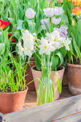 Similar image 21035582