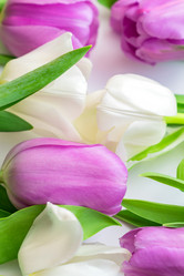 Similar image 21037718