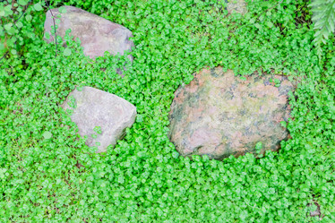 Similar image 21037719