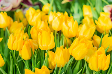 Similar image 21037720