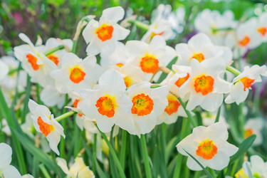 Similar image 21037728