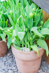 Similar image 21037729