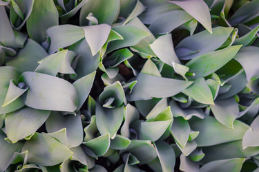 Similar image 21037730