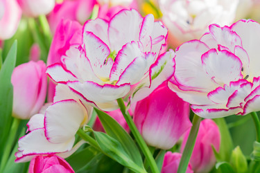 Similar image 21037731