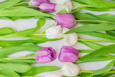 Similar image 21037734