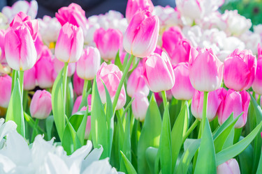 Similar image 21037741