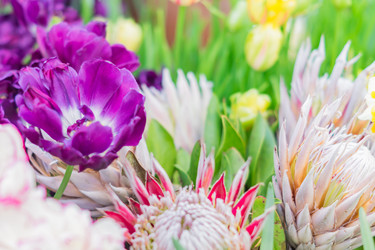 Similar image 21037742