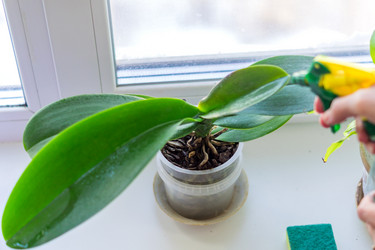 Similar image 21037744