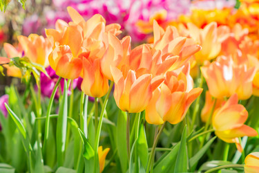 Similar image 21037745