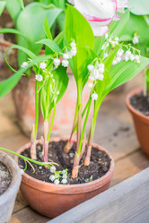 Similar image 21038086