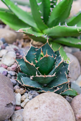 Similar image 21038097