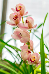 Similar image 21038125