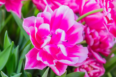 Similar image 21038141