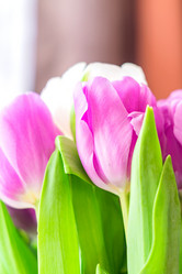 Similar image 21038143