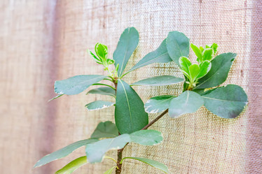 Similar image 21038145