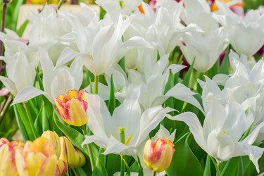 Similar image 21038159