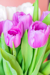 Similar image 21038160