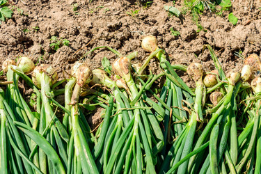 Similar image 21038161