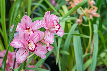 Similar image 21038204