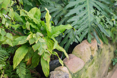 Similar image 21038225