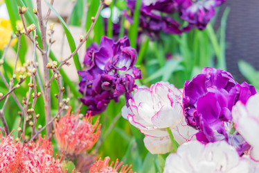 Similar image 21038226